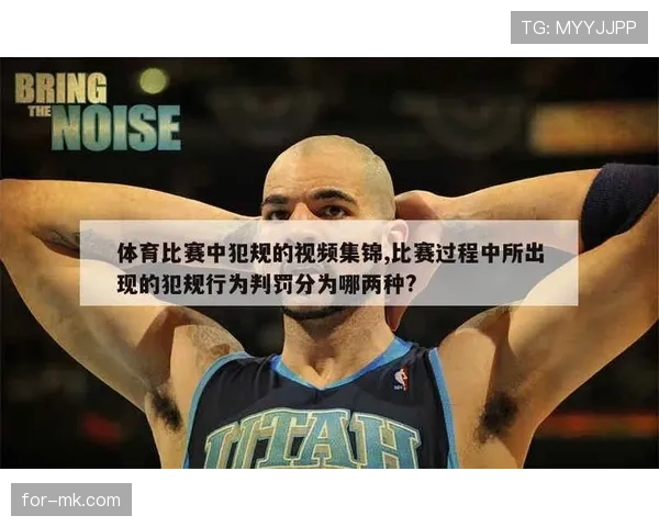 严重犯规的判罚标准及影响解析
